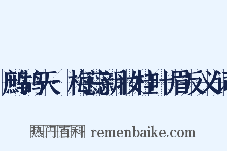 鹧鸪天·梅蕊新妆桂叶眉反义词是什么意思的图片